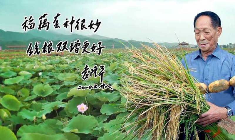 农耕用具：从古至今的演变与变迁