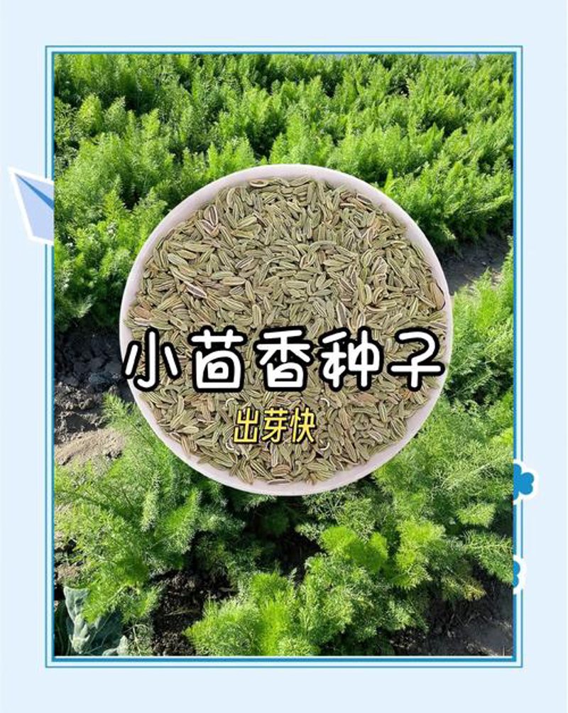 时代农耕百货店：传统购物文化的传承与创新之路